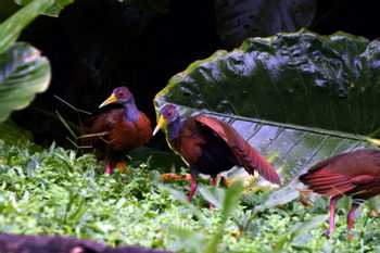 Inotowa Expeditions Lodge