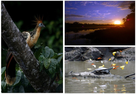 Inotowa Expeditions Lodge