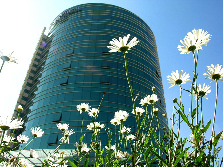 Suites Camino Real La Paz photo