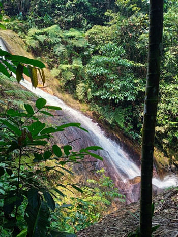 Salto de la Bruja Waterfalls – Full Day Experience from Tarapoto photo 5