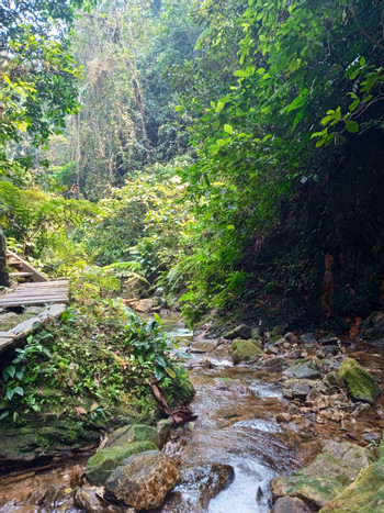 Salto de la Bruja Waterfalls – Full Day Experience from Tarapoto photo 4