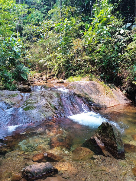 Salto de la Bruja Waterfalls – Full Day Experience from Tarapoto photo 3