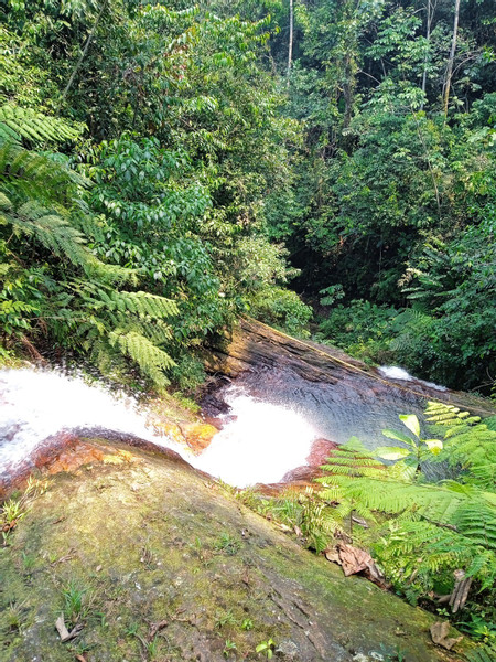 Salto de la Bruja Waterfalls – Full Day Experience from Tarapoto photo 2