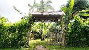 The Cacao Route photo 3