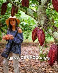 The Cacao Route photo