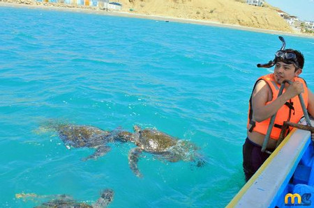 Beach tour and swimming with sea turtles in Mancora photo 3