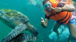 Beach tour and swimming with sea turtles in Mancora photo 2