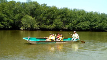 The Tumbes Mangroves National Sanctuary Tour photo 5