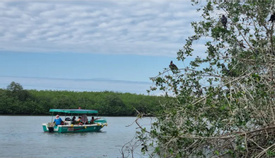 Tour of the National Sanctuary of the Mangroves of Tumbes