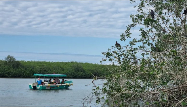 The Tumbes Mangroves National Sanctuary Tour Photo