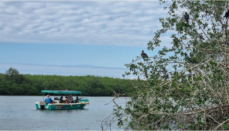The Tumbes Mangroves National Sanctuary Tour photo