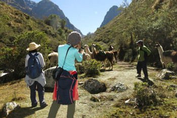 Full-Day Llama Pack Project Nature Tour photo 4