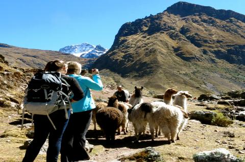 Full-Day Llama Pack Project Nature Tour Peru