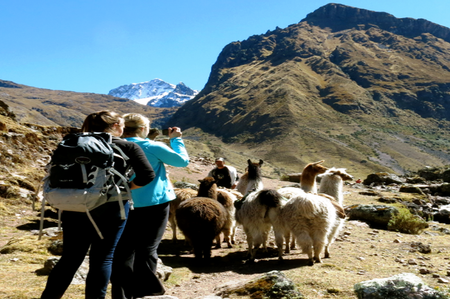 Full-Day Llama Pack Project Nature Tour photo 3