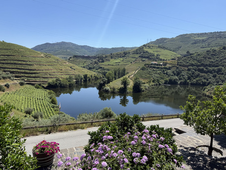Douro Valley Wine Tours
