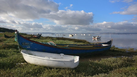 Tagus Estuary Nature Reserve