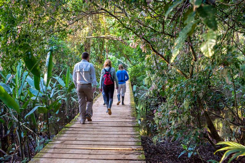 2023 Amazon Basin, Peru Travel Guide