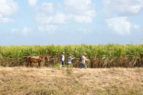 Central Heartland Cuba