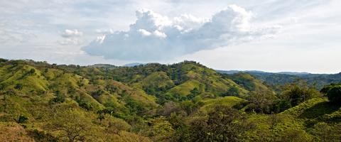 Gulf of Chiriquí Panama