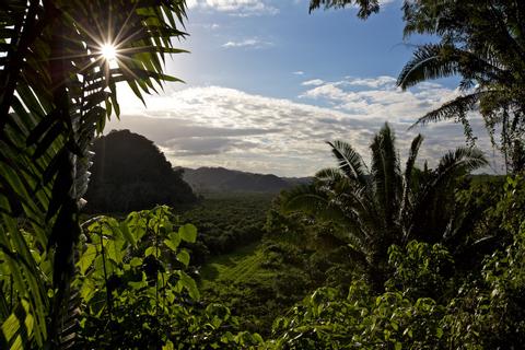 Montañas Maya Belize