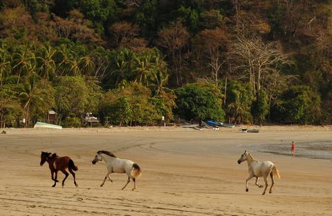 Nicoya Peninsula Costa Rica