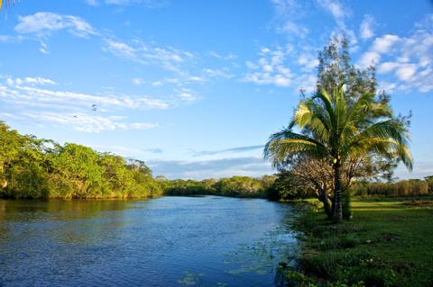 Northern Lowlands Belize