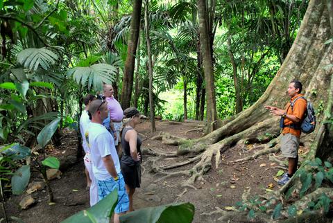Northern Lowlands Costa Rica