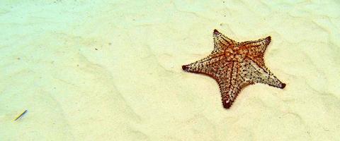 San Blas Islands Panama