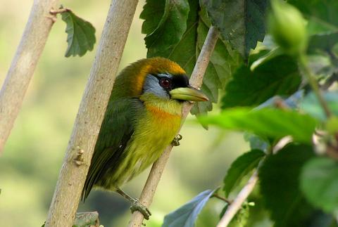 South Central Costa Rica
