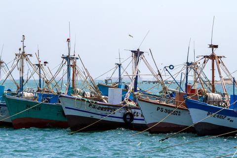 South Coast Peru