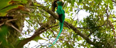 Western Highlands Panama