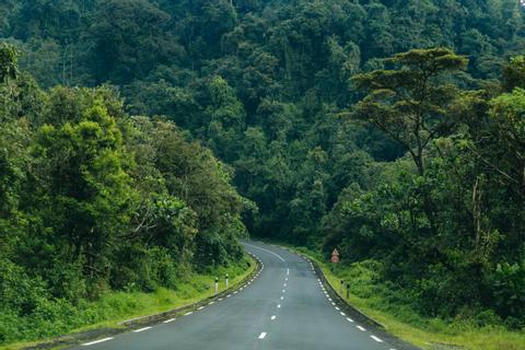 Nyungwe Rwanda