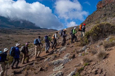 Mount Kilimanjaro National Park photo 2