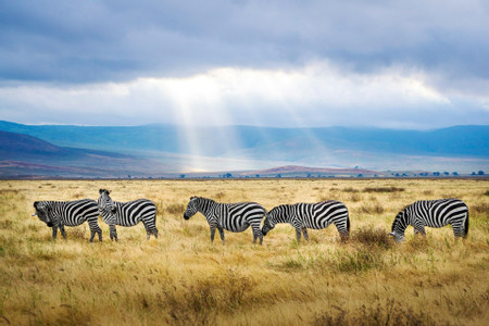 Ngorongoro Crater photo 3