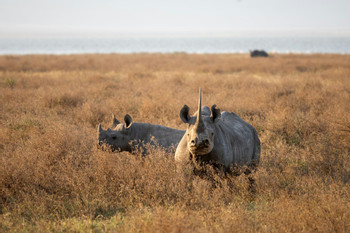 Ngorongoro Crater photo 2