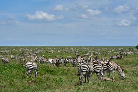 Ngorongoro Crater Tanzania