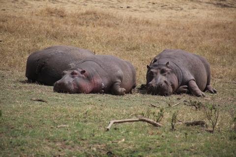 Ngorongoro Crater Tanzania