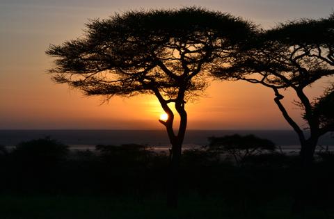 Serengeti National Park Tanzania