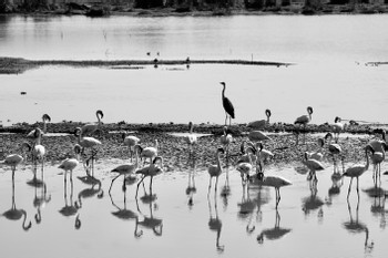 Arusha National Park