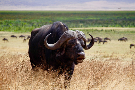 Arusha National Park