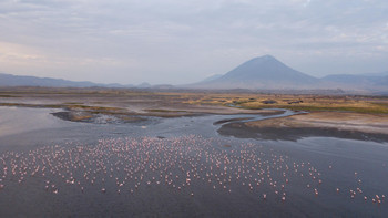 Lake Natron