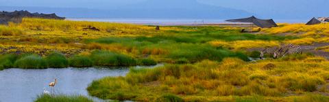 Lake Natron Tanzania