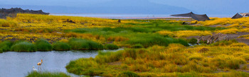 Lake Natron