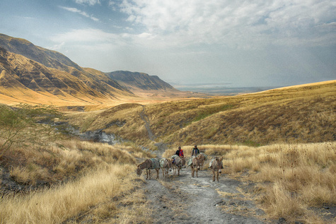 Lake Natron
