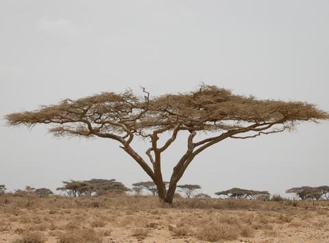 Ngorongoro Conservation Area Tanzania