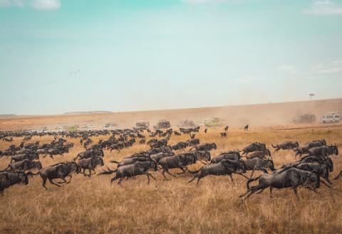 Northern Serengeti Tanzania