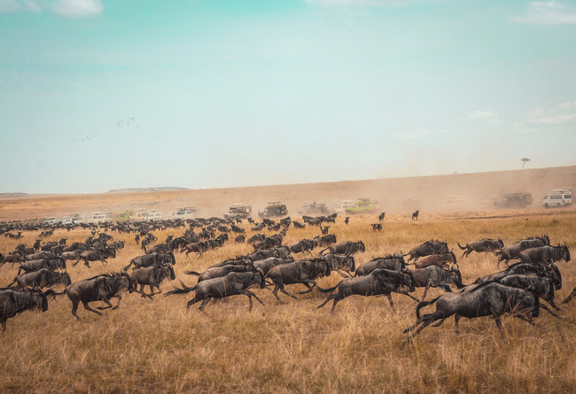 Northern Serengeti