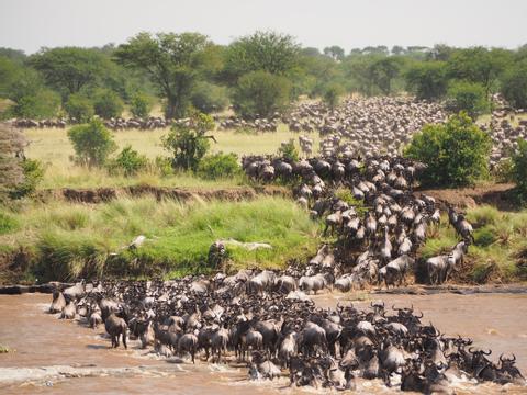Northern Serengeti Tanzania