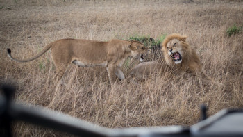 Southern & Eastern Serengeti