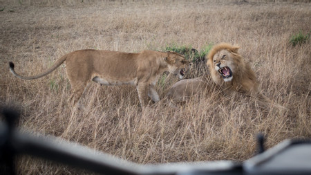 Southern & Eastern Serengeti